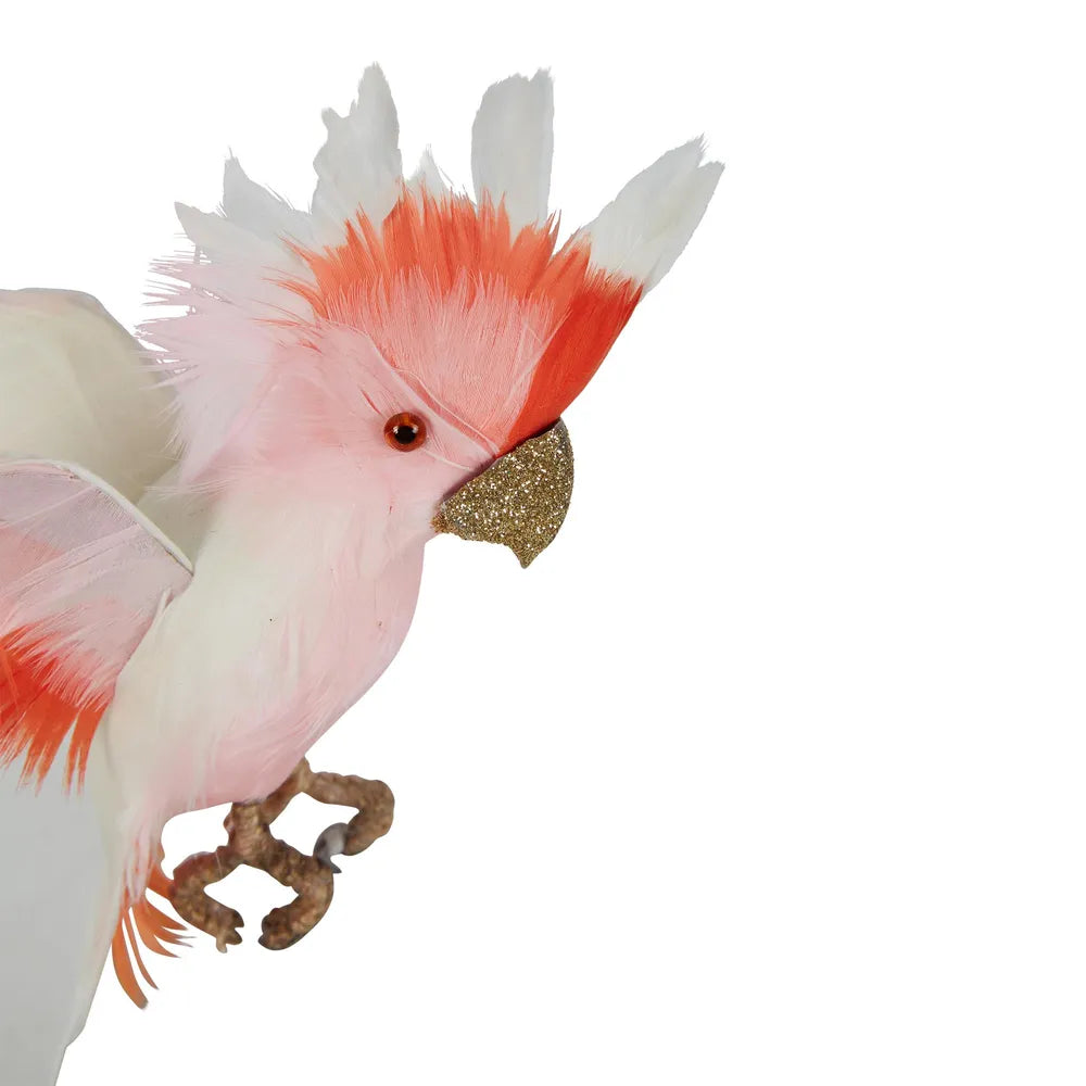 Galah Flying Bird Small White