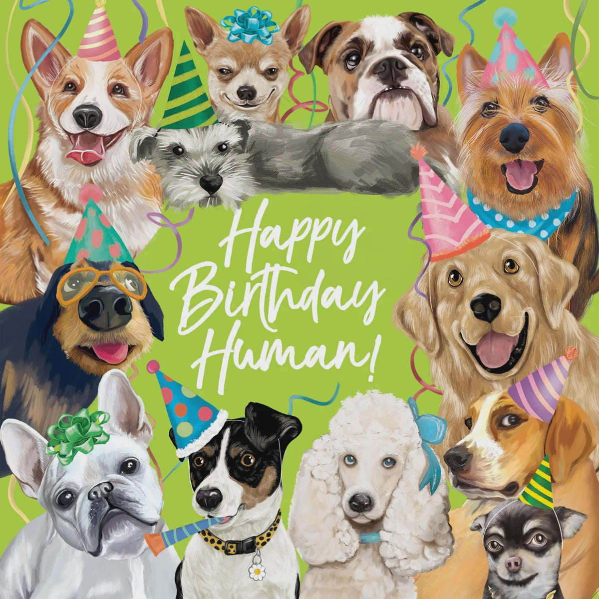 Greeting Card Happy Birthday Human