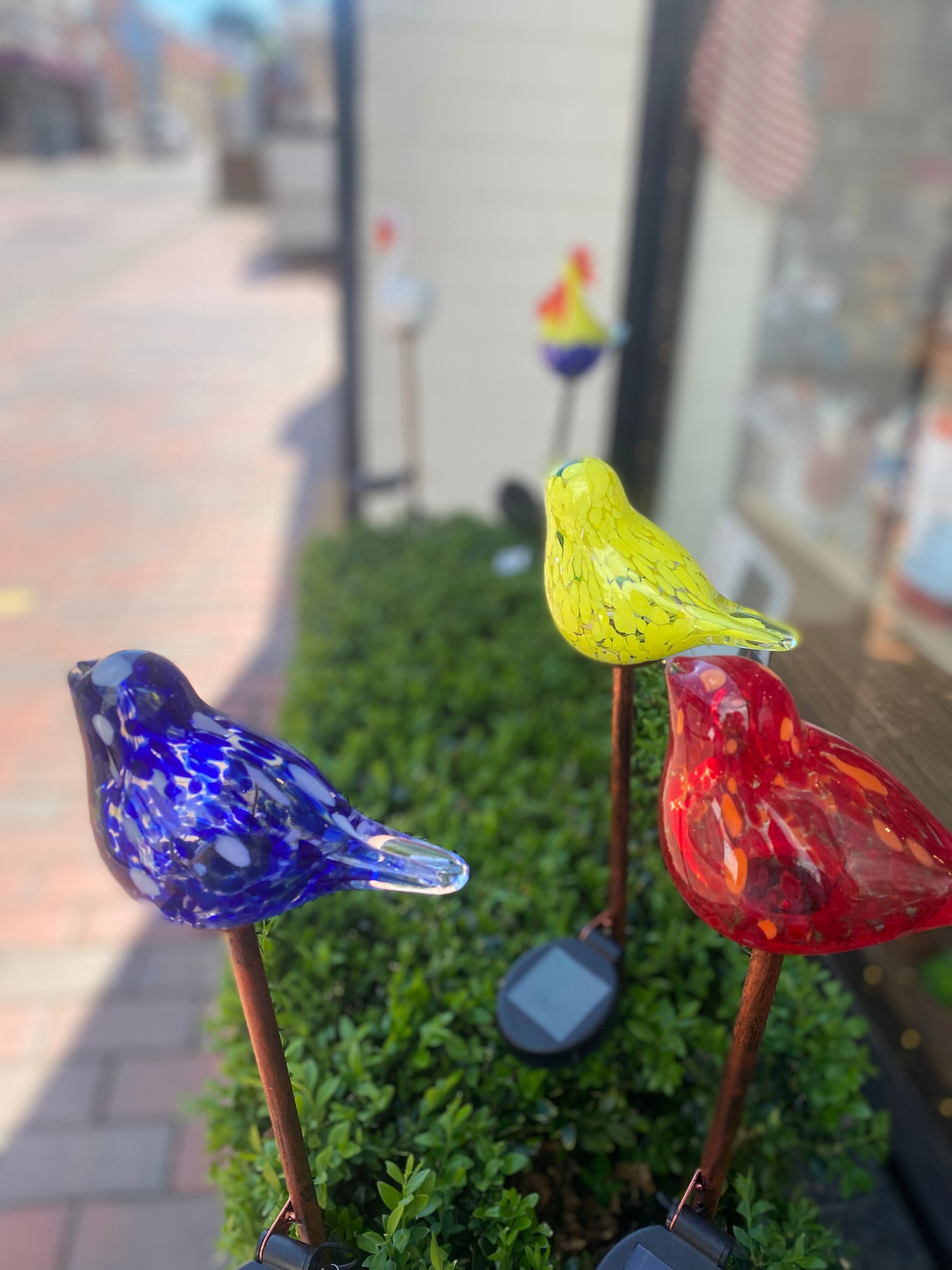 Bird solar deals lights for garden