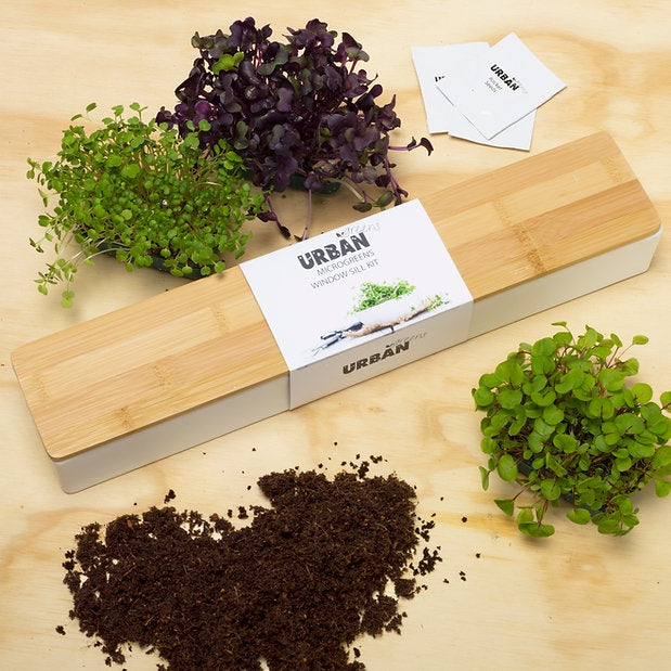 Micro Greens Window Sill Box