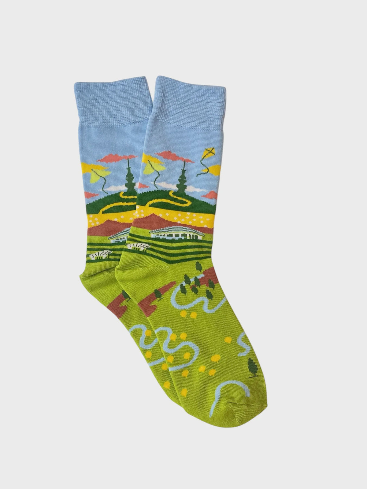 National Arboretum Sock
