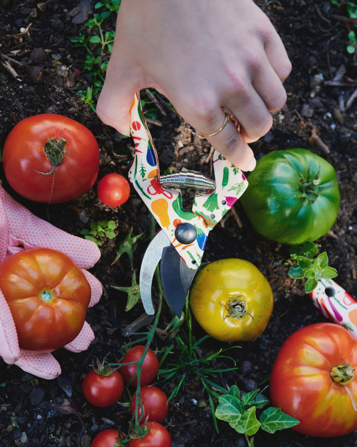 Kip&amp;Co x Stephanie Alexander Stephanie&#39;s Harvest Garden  Secateurs and Gloves