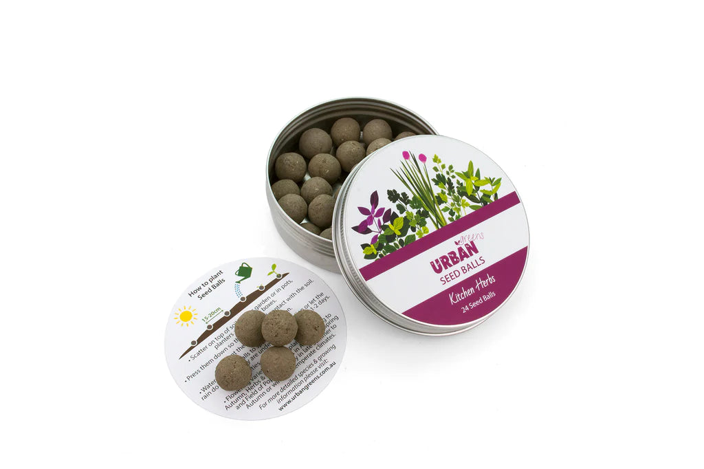 Kitchen Herbs - Seed Balls