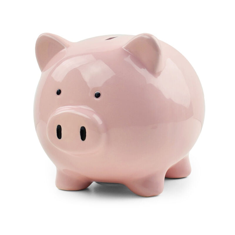 Save Money - Piggy Coin Bank