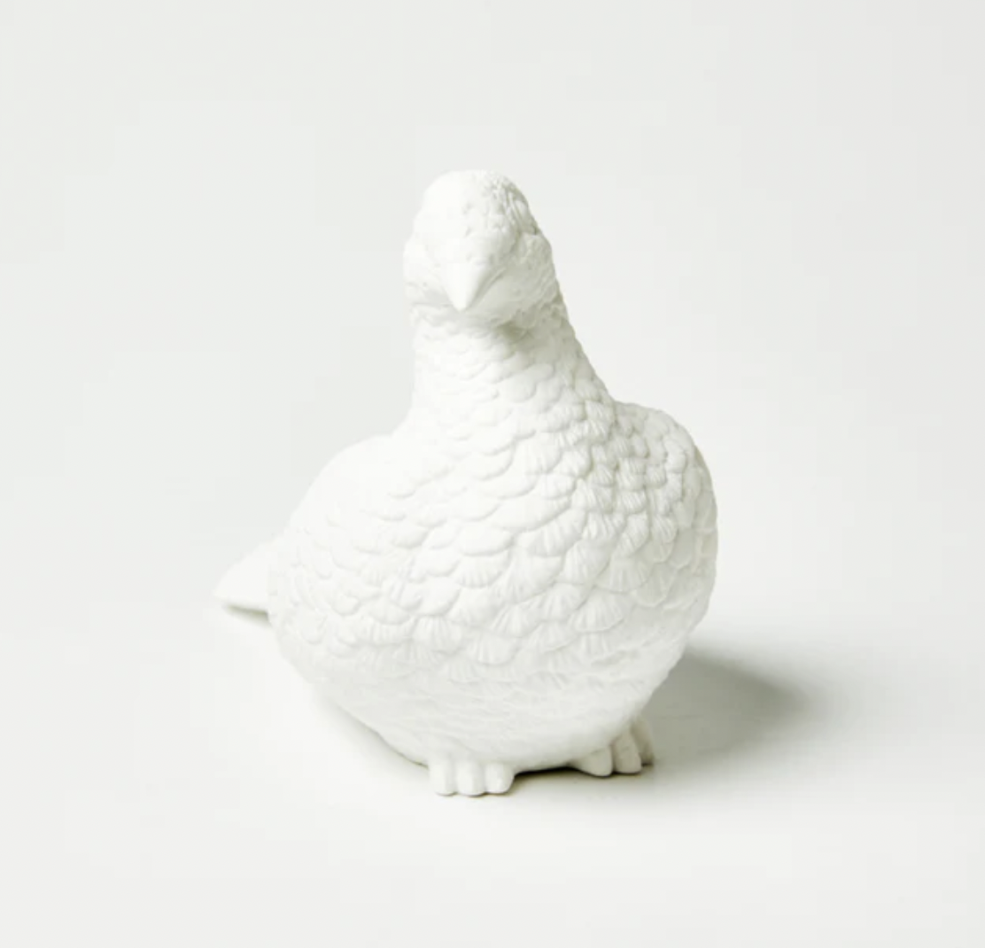 Pigeon Moneybox