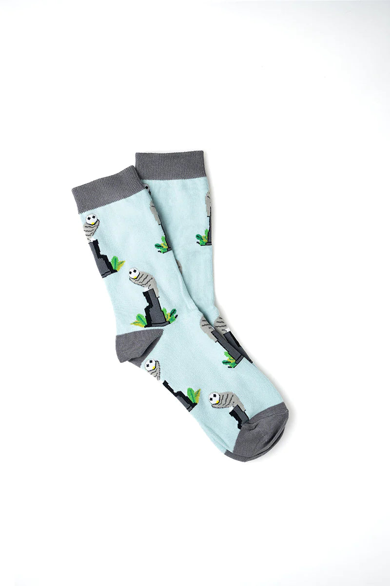 Canberra Belconnen Owl Socks