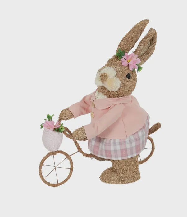 Betty Bunny On Bike
